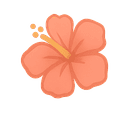 Hibiscus flower
