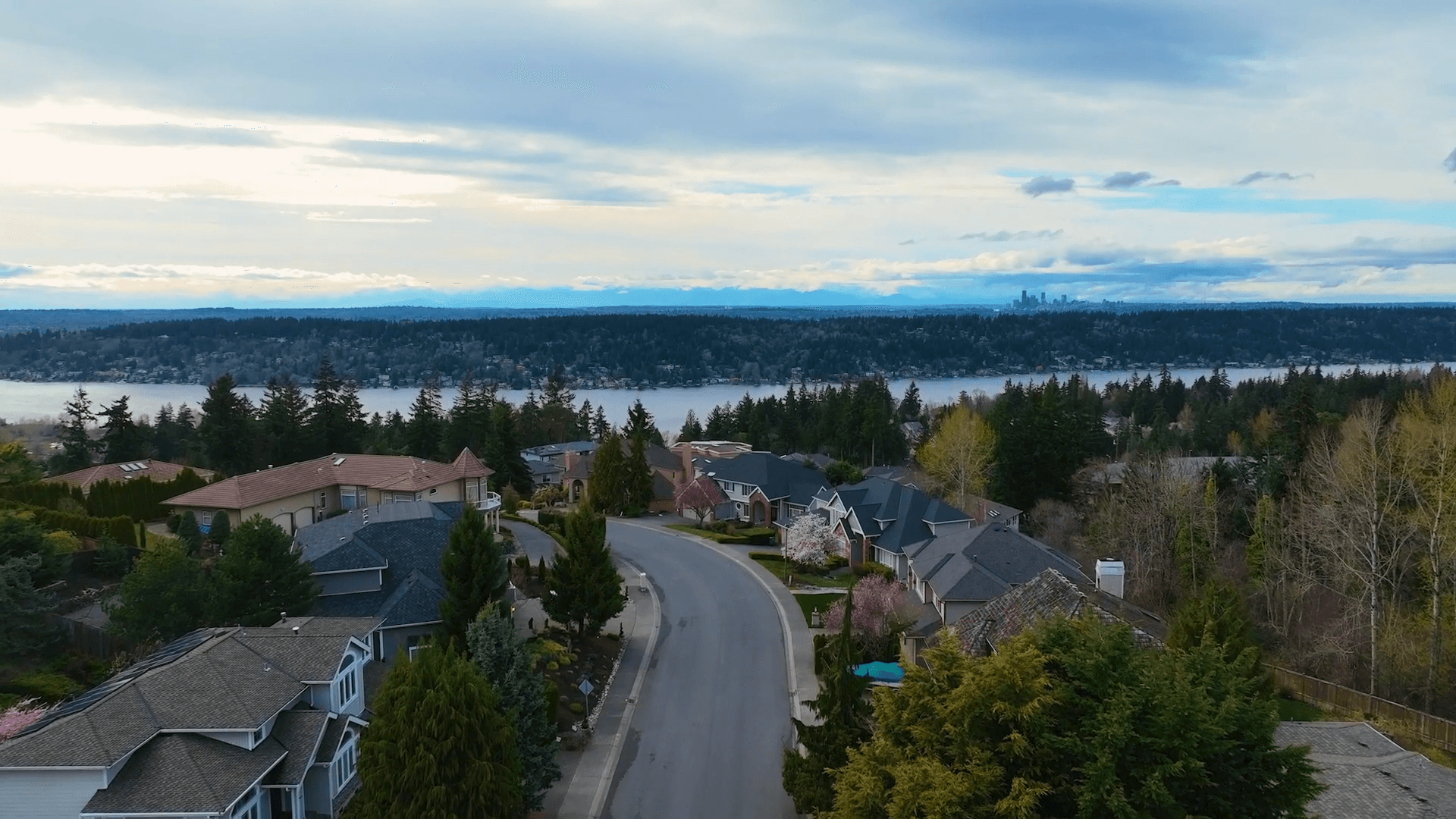 Greater Seattle Area